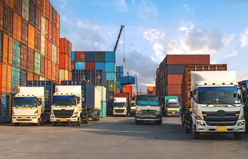 Related Tru Records Logistic service: Distribution Services — Last-mile and multi-location delivery.